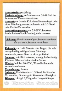 Preview: Clavija longifolia, Mongonbaum, Mongon, 10 Samen